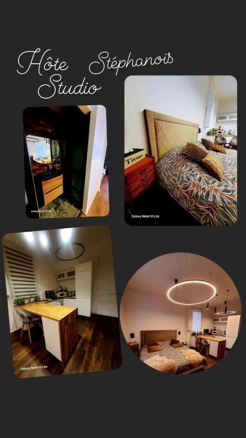 Hote Stephanois Studio, Parking& Borne Electrique Saint-Etienne  Esterno foto